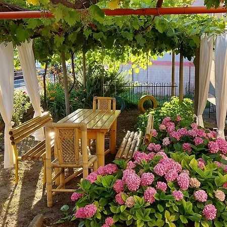 Nikolovi Lozenec